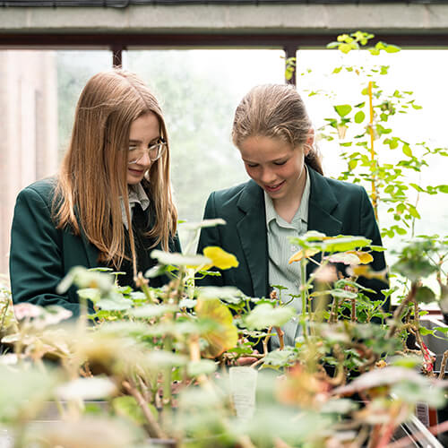Students looking at plants