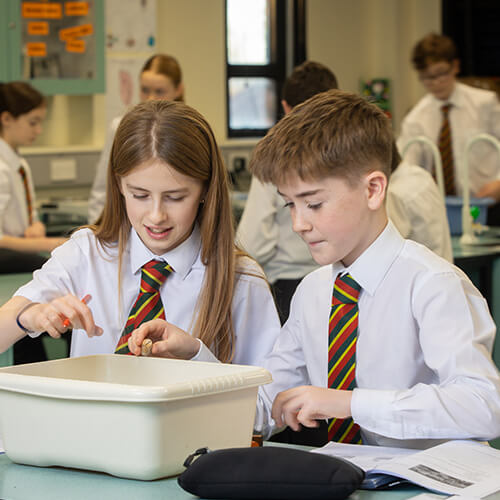 Students in a classroom