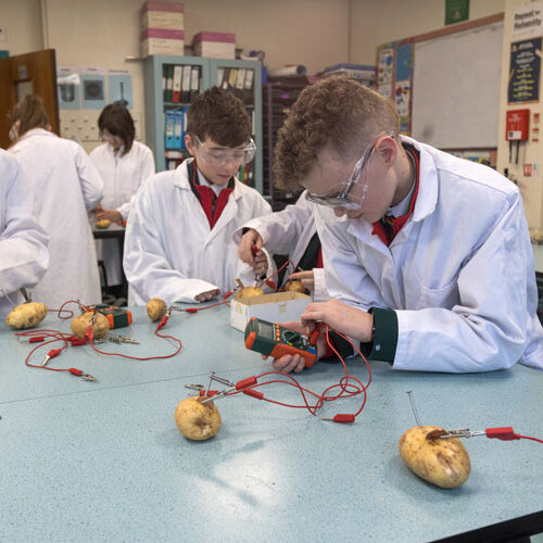 Students with potatoes and voltmeters
